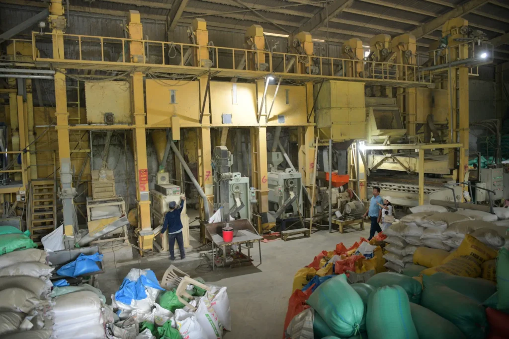 Cooperativa vietnamita inova com a integração de produção e consumo de produtos 3 79d631a5b258450a9dd096ba2df10669 copiar