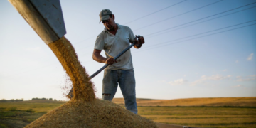 Exportações do agronegócio atingem US$ 14,29 bi em agosto com alta de 1,5%