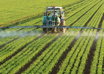 2º Fórum Bioinsumos no Agro apontará caminhos para Brasil ampliar mercado biológicos, que deve atingir US$ 30 bilhões no mundo até 2030