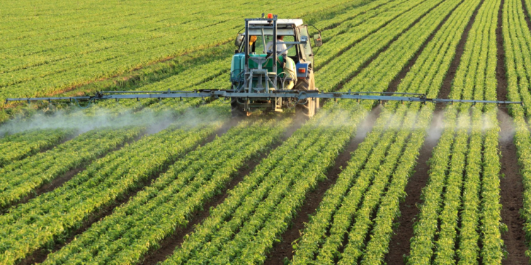2º Fórum Bioinsumos no Agro apontará caminhos para Brasil ampliar mercado biológicos, que deve atingir US$ 30 bilhões no mundo até 2030