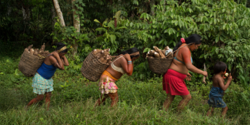 Cooperativa financeira e instituição internacional destinam US$ 250 mi a mulheres empreendedoras na Amazônia