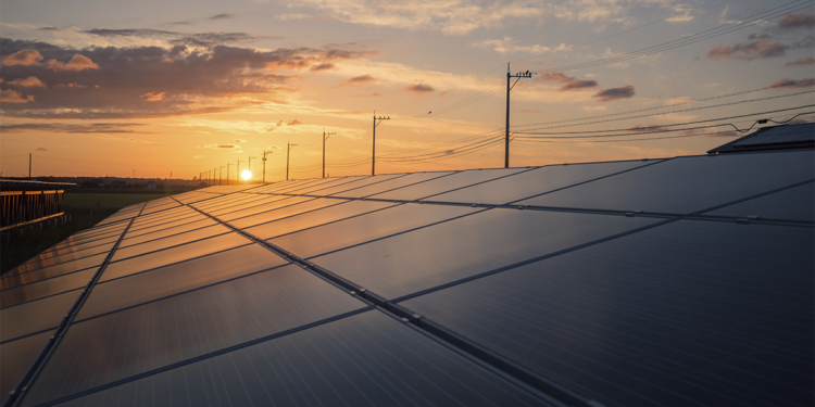 Sistema cooperativo de energia registra crescimento de mais de 30% em investimentos e expansão em um ano