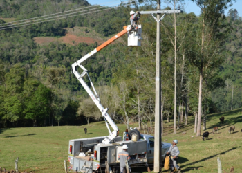 Cooperativas lideram modernização da rede elétrica gaúcha e impulsionam agronegócio local