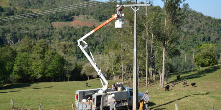 Cooperativas lideram modernização da rede elétrica gaúcha e impulsionam agronegócio local