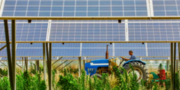 Câmara aprova projeto que facilita crédito para agricultor familiar investir em energia solar