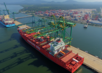 Cooperativa agroindustrial investirá R$ 3 bilhões em porto de Santa Catarina