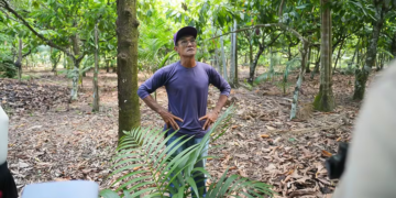 Cooperativas lideram uso de práticas sustentáveis contra mudanças climáticas no Pará