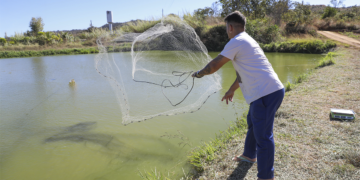 Cooperativa de crédito amplia oferta de financiamento para produtores rurais e pequenos negócios