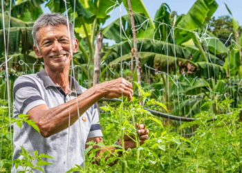 Cooperativas de crédito alcançam pequenos produtores e garantem sustentabilidade na Amazônia