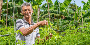 Cooperativas de crédito alcançam pequenos produtores e garantem sustentabilidade na Amazônia