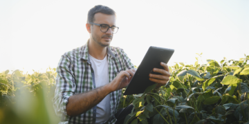 Embrapa desenvolve tecnologia para prever produtividade agrícola com uso de imagens de satélite