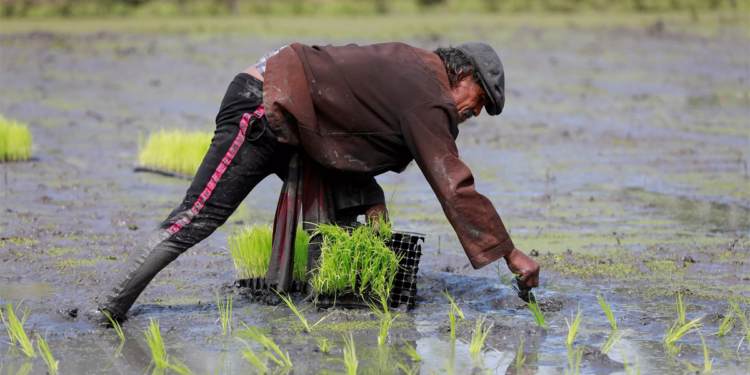 Cooperativa vietnamita inova com a integração de produção e consumo de produtos