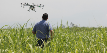 Boas práticas e tecnologias modernas asseguram a estabilidade da produção mesmo em anos difíceis