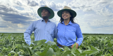 Banco Central autoriza cooperativas a captar poupança rural e ampliar crédito no campo