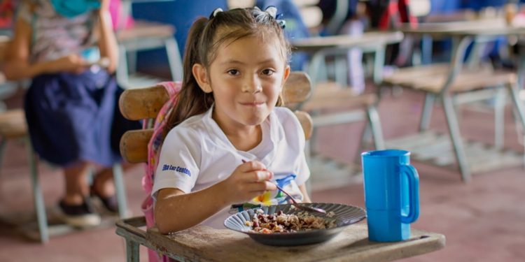 Cooperativas da agricultura familiar forneceram mais de mil toneladas de alimentos para escolas em 2024 1 Cooperativas da agricultura familiar forneceram mais de mil toneladas de alimentos para escolas em 2024