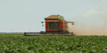 Agronegócio cresce 18% e fatura R$ 36,9 bilhões em setembro, mesmo com tarifaço dos EUA