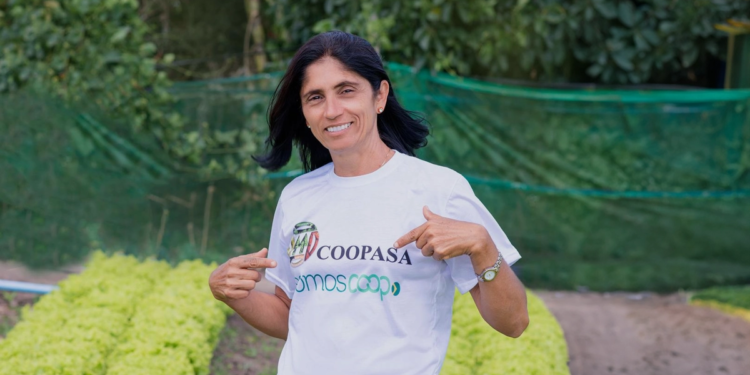 Cooperativas empoderam vidas e geram renda para mulheres no interior de Pernambuco 1 Cooperativas empoderam vidas e geram renda para mulheres no interior de Pernambuco