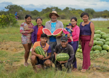 COP30 poderá gerar R$ 3,3 milhões para agricultores familiares