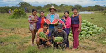 COP30 poderá gerar R$ 3,3 milhões para agricultores familiares