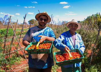 Governo federal sanciona pacote de leis voltadas para agricultura familiar