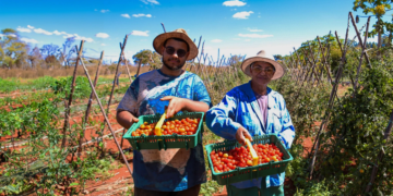 Governo federal sanciona pacote de leis voltadas para agricultura familiar