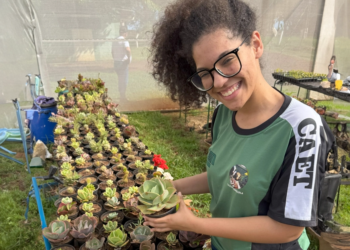 Modelo de cooperativa-escola melhora a educação no campo paranaense