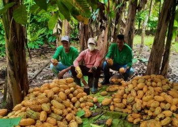 Cooperativismo financeiro cresce na Amazônia e transforma realidades locais