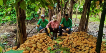 Cooperativismo financeiro cresce na Amazônia e transforma realidades locais