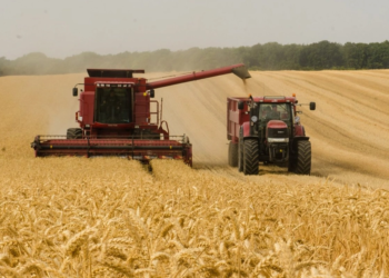 Análise destaca recorde na produção de grãos e retomada do PIB do agro em 2025