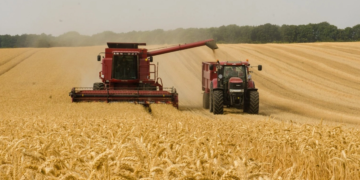 Análise destaca recorde na produção de grãos e retomada do PIB do agro em 2025