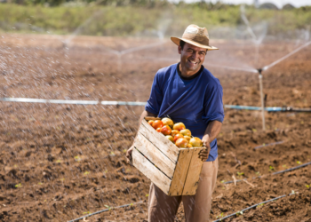 Produtor da agricultura familiar já renegociou R$ 12 bilhões em dívidas