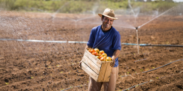 Produtor da agricultura familiar já renegociou R$ 12 bilhões em dívidas