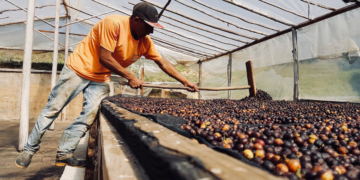 Crédito rural recua no país, mas cooperativa mantêm expansão no ES