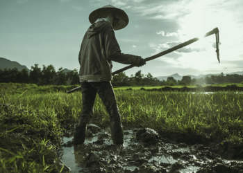 OCB defende cooperativas como pilares da ação climática global em preparação para a COP30