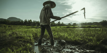 OCB defende cooperativas como pilares da ação climática global em preparação para a COP30