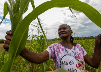 BNDES abre crédito de R$ 12 bi para renegociação rural