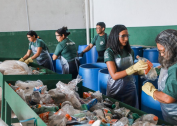 Cooperativas brasileiras têm grandes desafios antes da COP30 2 COP30 1