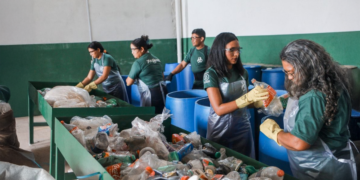Cooperativas brasileiras têm grandes desafios antes da COP30 10 COP30 1