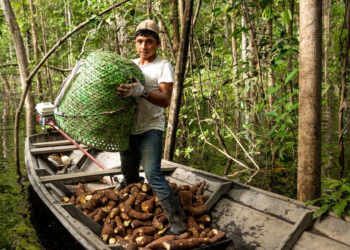 Cooperativismo brasileiro anuncia representantes do setor na COP30
