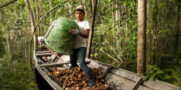 Cooperativismo brasileiro anuncia representantes do setor na COP30