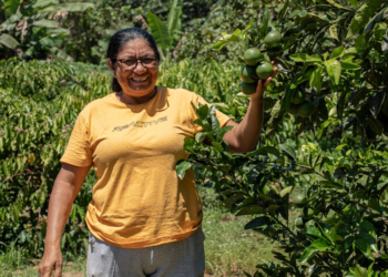 Cooperativas do Pará levam experiências de sustentabilidade para representar o Brasil na COP 30
