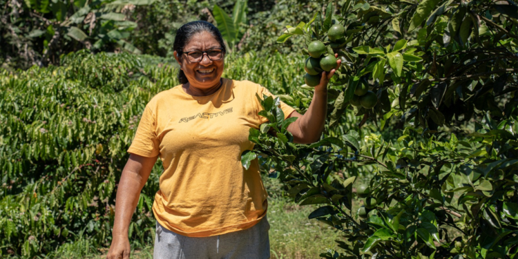 Cooperativas do Pará levam experiências de sustentabilidade para representar o Brasil na COP 30 1 Cooperativas do Pará levam experiências de sustentabilidade para representar o Brasil na COP 30