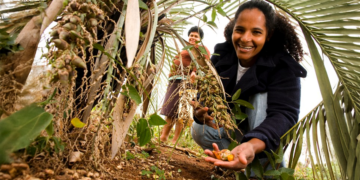 Mulheres ganham protagonismo no agronegócio e movimentam mudanças no setor