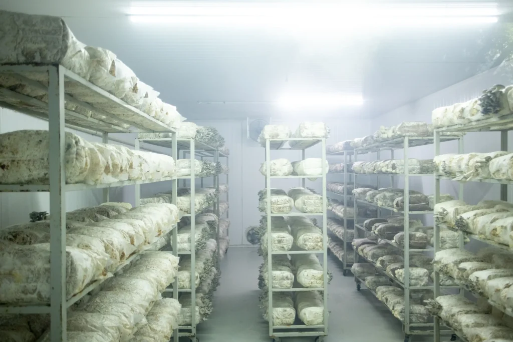 Imersão jornalística reforça conexões entre comunicação e cooperativismo 8 Foto Eduardo Rocha 8163 copiar