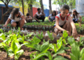 Estudantes criam cooperativa mirim e já produzem aromatizantes e horta no Paraná