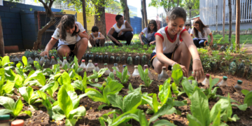 Estudantes criam cooperativa mirim e já produzem aromatizantes e horta no Paraná