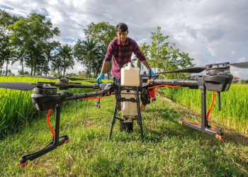 Sistema OCB discute inovação e sustentabilidade durante assembleia mundial de cooperativas agrícolas 2 Sistema OCB discute inovação e sustentabilidade durante assembleia mundial de cooperativas agrícolas