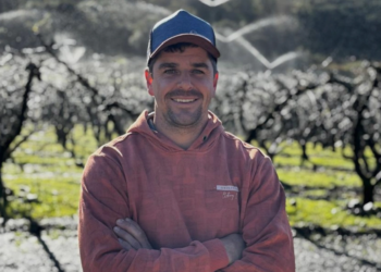 Investimento em irrigação contra geada reduz perdas no cultivo de frutas na Serra Gaúcha