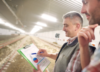 Sucessão no campo e o desafio da nova geração: o futuro das cooperativas agro em jogo 2 Sucessão no campo e o desafio da nova geração: o futuro das cooperativas agro em jogo