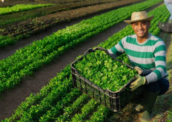 Sucessão no campo e o desafio da nova geração: o futuro das cooperativas agro em jogo 2 Sucessão no campo e o desafio da nova geração: o futuro das cooperativas agro em jogo